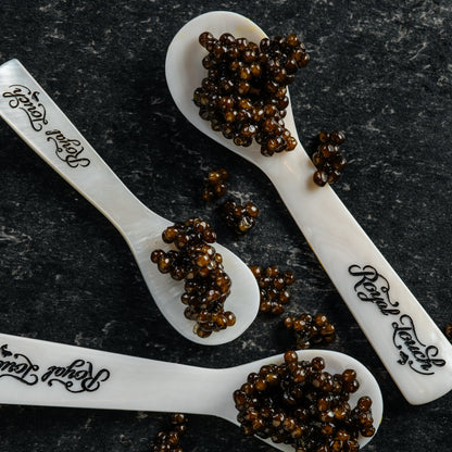 Mother of Pearl Caviar Spoon